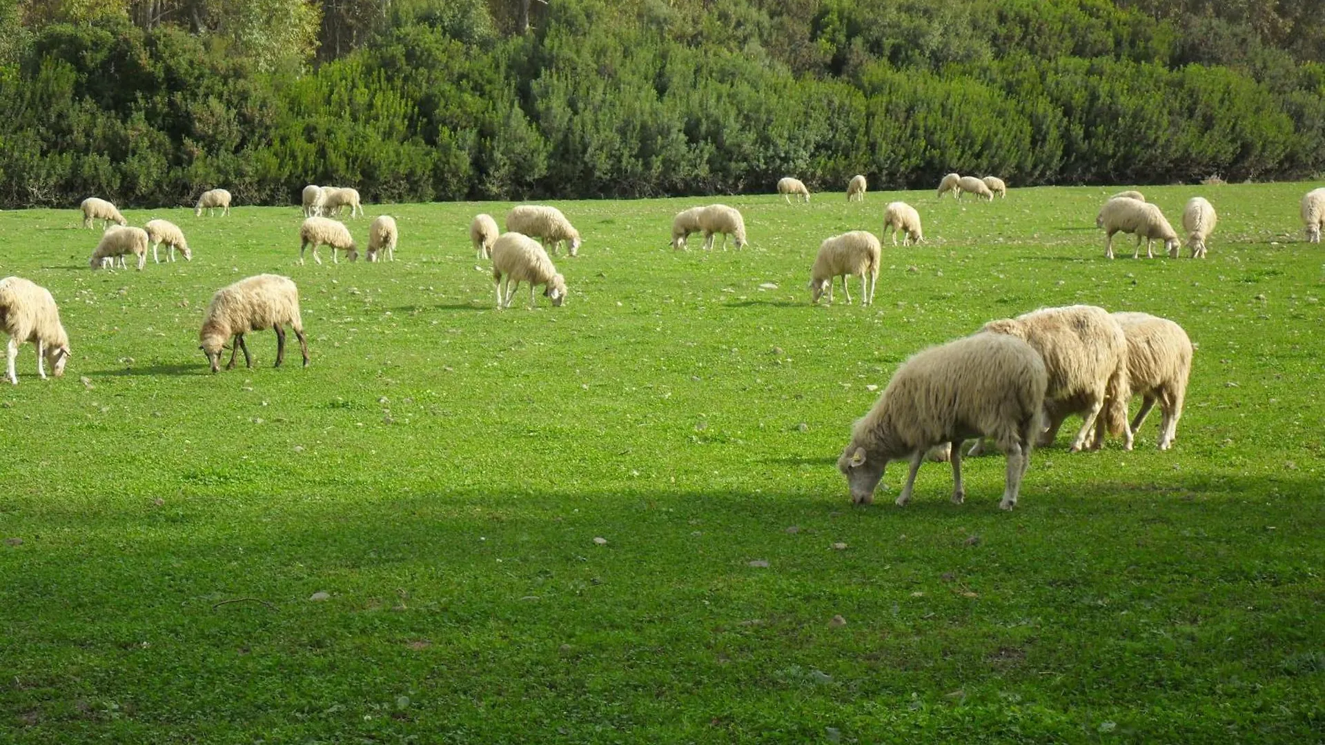 Agriturismo Casa Marmida Pardu Atzei Italy