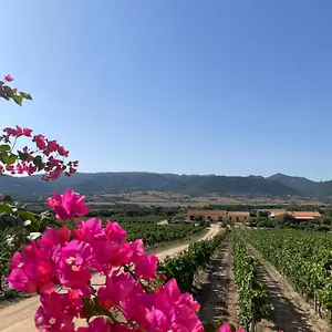 Campesi Casale Tra Le Vigne Alloggio per agriturismo